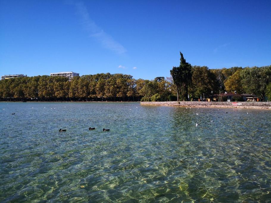 Studio Moderne, Place Parking Prive, Emplacement Ideal A 100 M Du Lac. Annecy Bagian luar foto